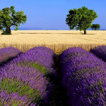 Superbe Avec Terrasse Sur Les Toits Appartamento *