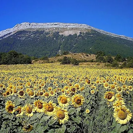 Appartamento Superbe Avec Terrasse Sur Les Toits *